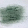 Νο. 199 - ξηρό παστέλ l'ecu Sennelier Leaf green
